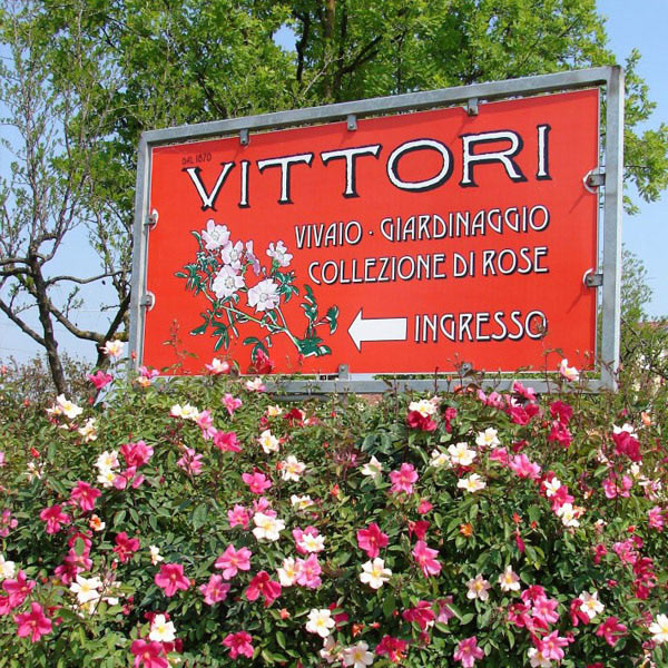 Cover Vivai Vittori – Piante e Rose Forlì Cesena