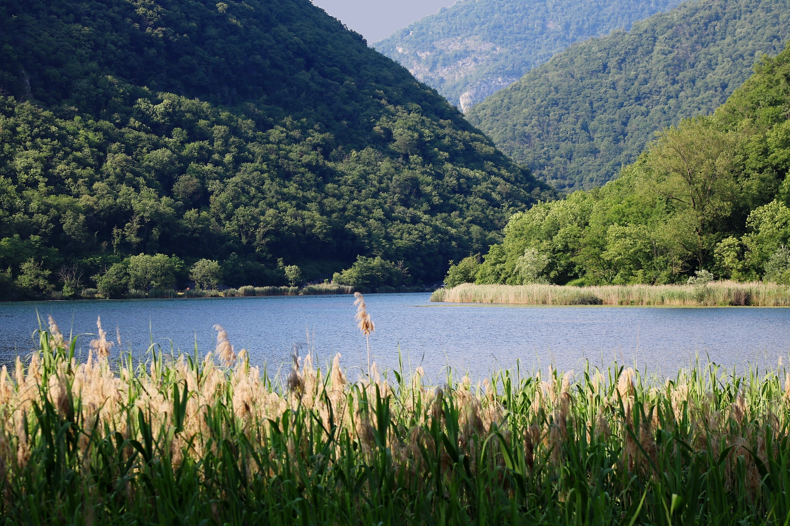 Cover Lago del Segrino
