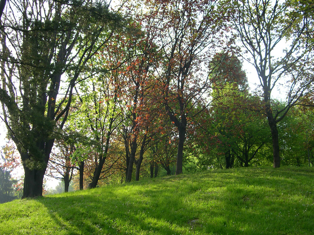 Cover Parco di Monte Stella e il Giardino dei Giusti