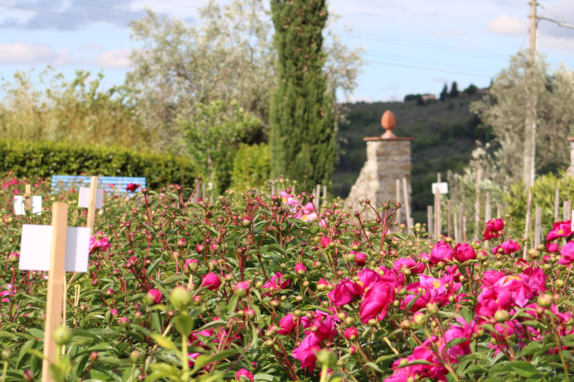 Cover Il Giardino di Castel Ruggero