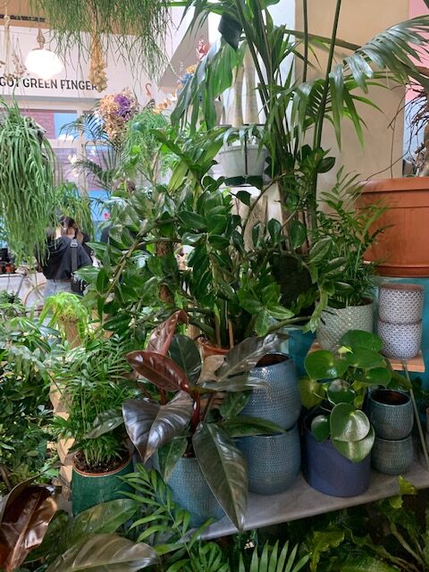 Cover Green Fingers Market Milano