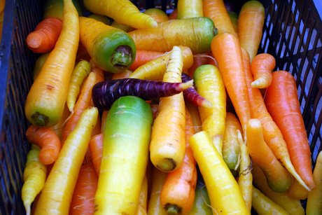 coloratissime-carote-di-polignano-a-mare